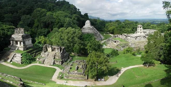 palenque livescience minh chan tuong