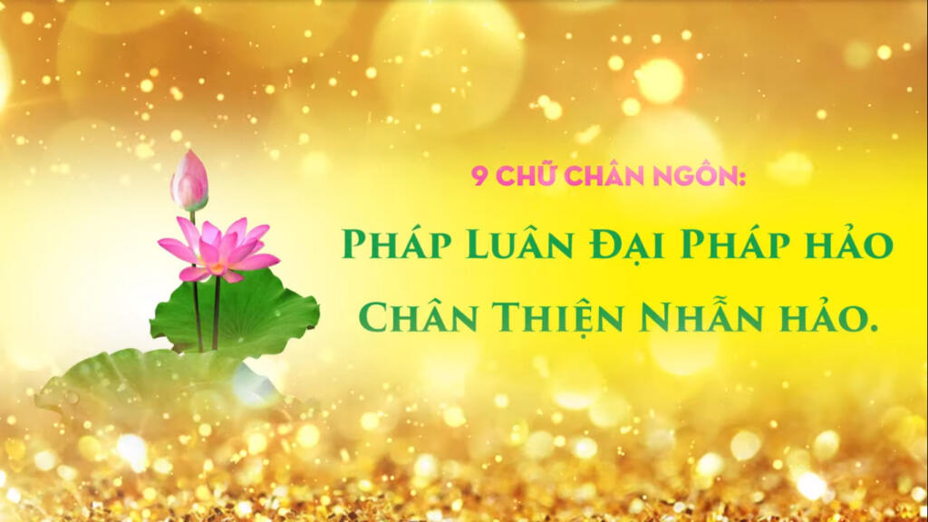 9 chu Chan Ngon