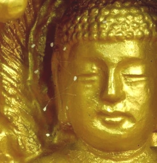 tượng Phật rơi lệ