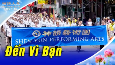 Tế Ngữ Nhân Sinh - Đến Vì Bạn - Minh Chân Tướng