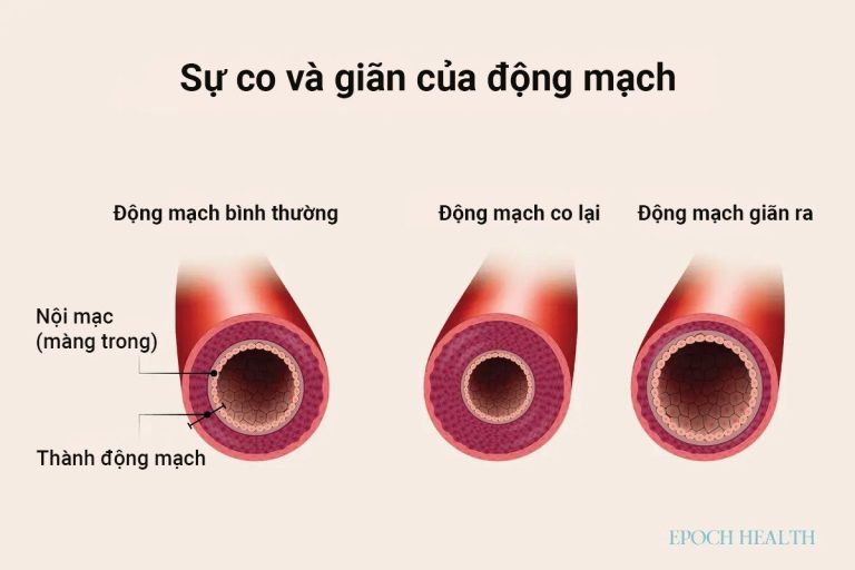 Tim và đại não luôn ghi nhớ từng khoảnh khắc nóng giận 4 Nóng giận,