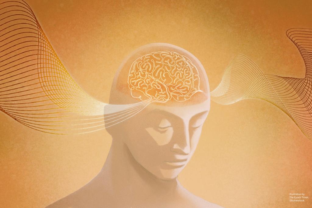 Ý thức đến từ đâu