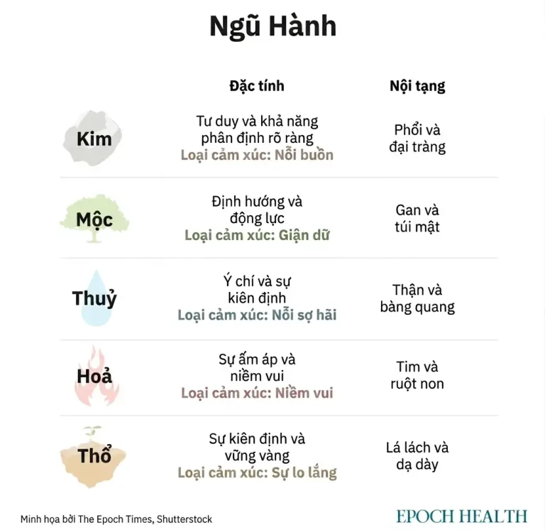 ngu hanh minh chan tuong2