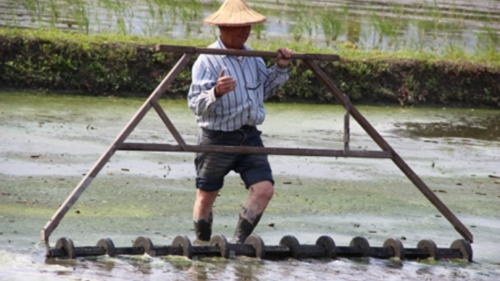 dam choi nay loc minh chan tuong3jpg